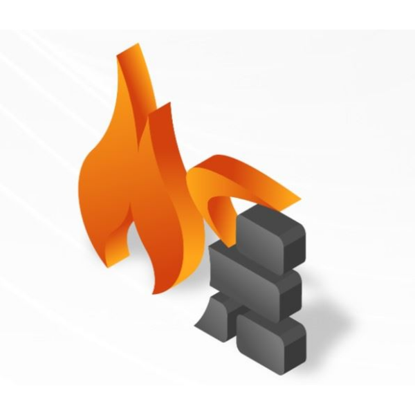 FIREWALL SSL VPN 10 USER LICENSE resmi